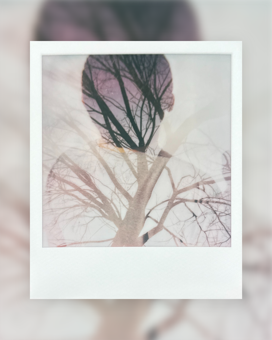 The Instant Photo Session